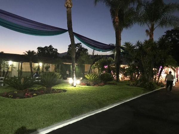 Palm Tropics Motel image 28